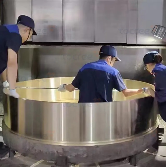 Centrifugal Casting